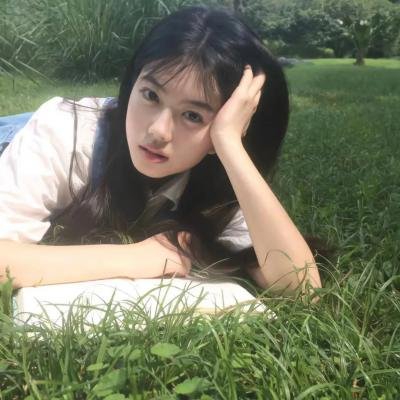 蜂蜜与四叶草